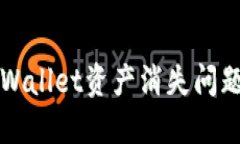 如何解决TPWallet资产消失问题的全面指南