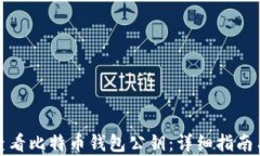 如何有效查看比特币钱包公钥：详细指南与实用