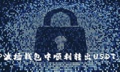如何在TP波场钱包中顺利转出USDT：详细指南