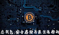 比特币固态钱包：安全存储与最佳选择的全面指