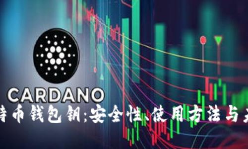 揭秘比特币钱包钥：安全性、使用方法与未来趋势