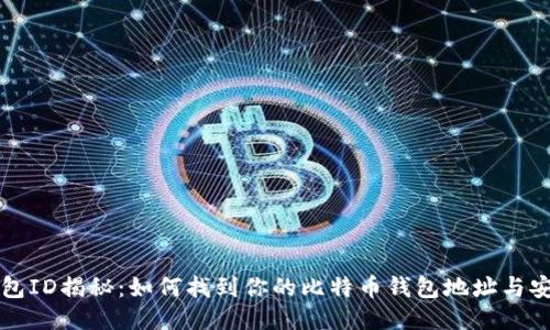 比特币钱包ID揭秘：如何找到你的比特币钱包地址与安全性指南