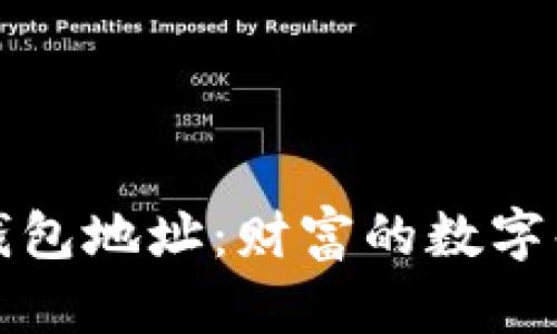 揭秘富豪的比特币钱包地址：财富的数字化与隐私的双重底线