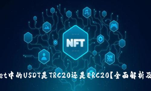 TPWallet中的USDT是TRC20还是ERC20？全面解析及其影响