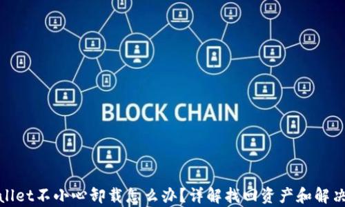 
tpwallet不小心卸载怎么办？详解找回资产和解决方案