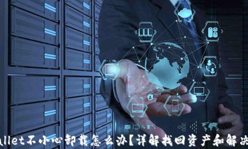 
tpwallet不小心卸载怎么办？详解找回资产和解决方案