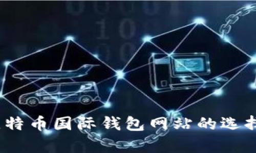 全面解析：比特币国际钱包网站的选择与使用指南