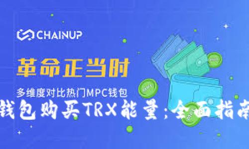 如何通过冷钱包购买TRX能量：全面指南与实用技巧