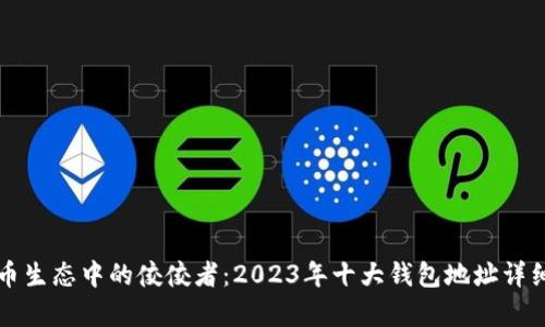 比特币生态中的佼佼者：2023年十大钱包地址详细解析