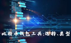 深入解析比特币钱包工具：选择、类型与安全性