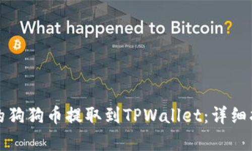 如何将火币上的狗狗币提取到TPWallet：详细指导与步骤解析
