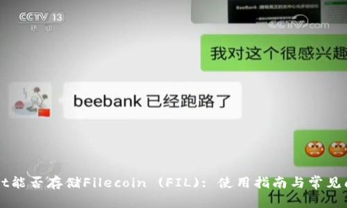 TPWallet能否存储Filecoin (FIL): 使用指南与常见问题解析
