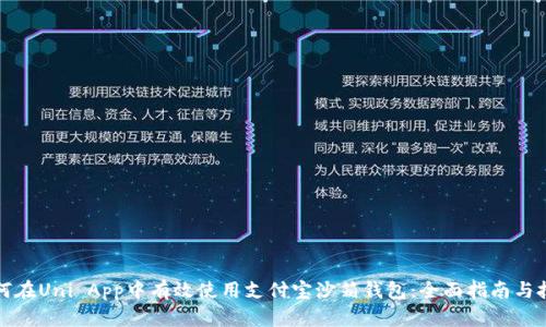 如何在Uni App中有效使用支付宝沙箱钱包：全面指南与技巧