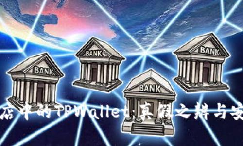 揭秘谷歌商店中的TPWallet：真假之辨与安全使用指南