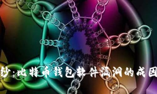 揭开神秘面纱：比特币钱包软件漏洞的成因与解决方案