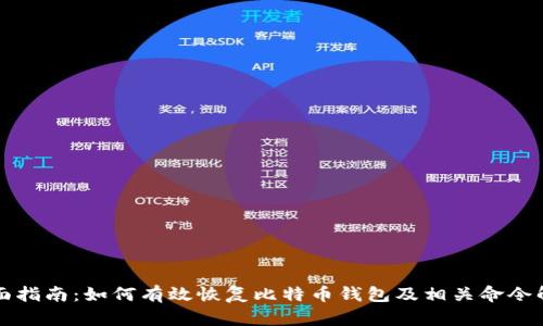 全面指南：如何有效恢复比特币钱包及相关命令解析