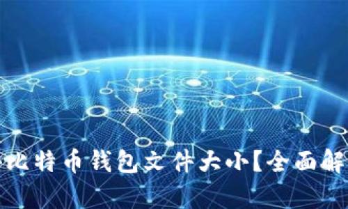 如何有效缩小比特币钱包文件大小？全面解析及实用技巧