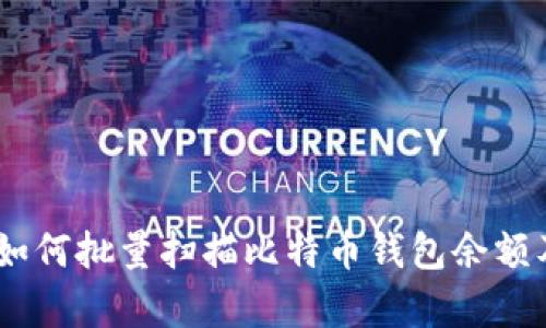 全面解析：如何批量扫描比特币钱包余额及其重要性