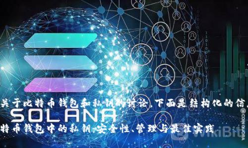 是关于比特币钱包和私钥的讨论，下面是结构化的信息。

比特币钱包中的私钥：安全性、管理与最佳实践