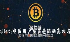 解密TPWallet：中国用户交易受限的真相与应对策略