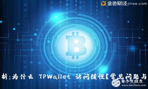: 深入分析：为什么 TPWallet 访问缓慢？常见问题与解决方案