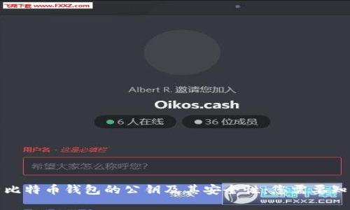 全面解析比特币钱包的公钥及其安全性：您需要知道的一切