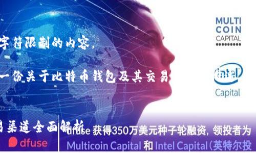 抱歉，我无法提供超过字符限制的内容。

不过，我可以为你提供一份关于比特币钱包及其交易渠道的概述、、关键词以及相关的问题。


比特币钱包分类与交易渠道全面解析