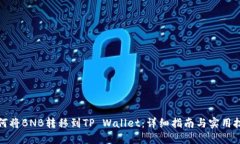 如何将BNB转移到TP Wallet：详细指南与实用技巧