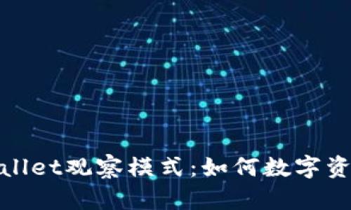 : 深入解析TPWallet观察模式：如何数字资产管理与安全性