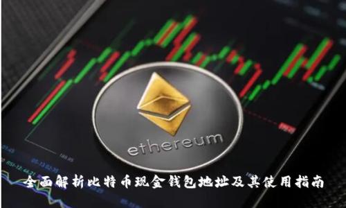 全面解析比特币现金钱包地址及其使用指南
