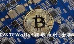 如何从TPWallet提取币种：全面指南