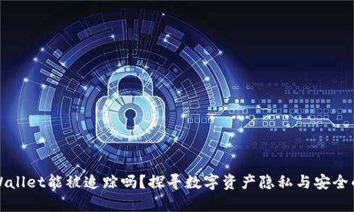 : TPWallet能被追踪吗？探寻数字资产隐私与安全的真相