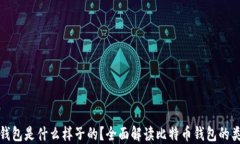 最好的比特币钱包是什么样子的？全面解读比特