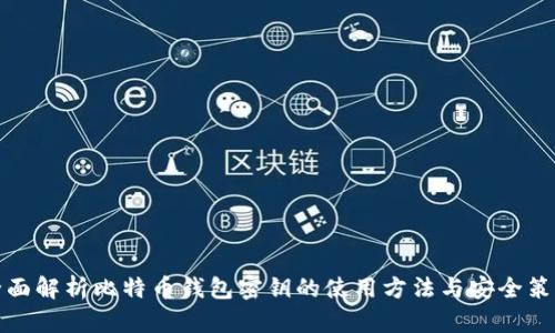 全面解析比特币钱包密钥的使用方法与安全策略