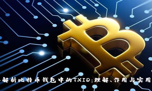 深入解析比特币钱包中的TXID：理解、作用与实用技巧
