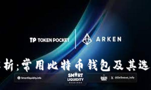 全面解析：常用比特币钱包及其选择指南