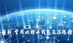 全面解析：常用比特币钱包及其选择指南