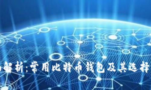 全面解析：常用比特币钱包及其选择指南