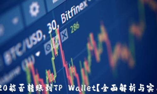 
TRC-20能否转账到TP Wallet？全面解析与实用指南