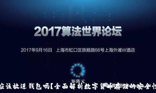   
比特币应该放进钱包吗？全面解析数字货币存储的安全性与风险