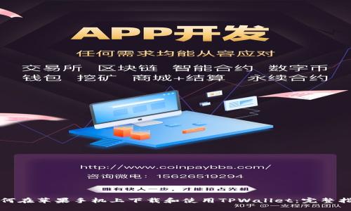 如何在苹果手机上下载和使用TPWallet：完整指南