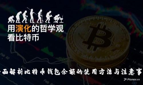 全面解析比特币钱包余额的使用方法与注意事项