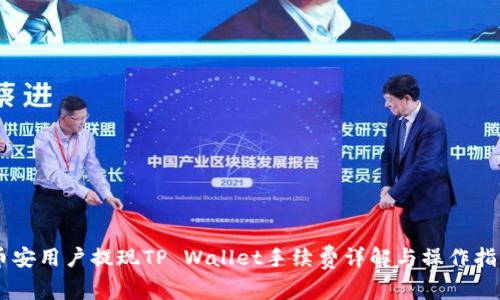币安用户提现TP Wallet手续费详解与操作指南