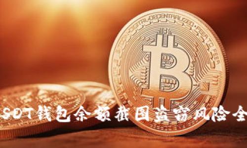 警惕！USDT钱包余额截图盗窃风险全面解析