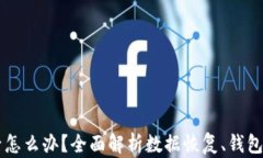 TPWallet删除后怎么办？全面解析数据恢复、钱包安